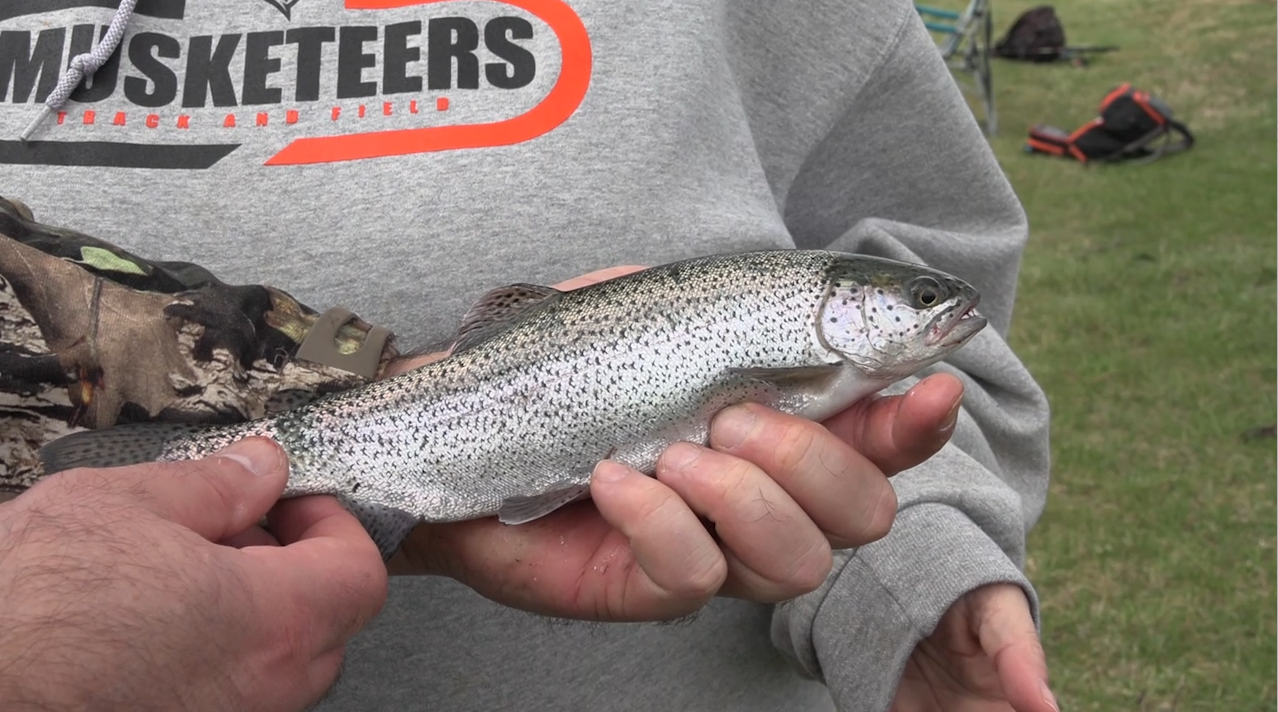 Hundreds of rainbow trout released at Schoonover Lake